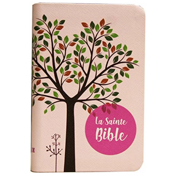 BIBLE SEGOND 1910 (ROSE)