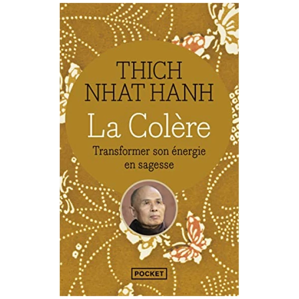 La Colère : Transformer son énergie en sagesse